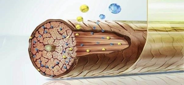 Botox cho tóc - nó là gì, cách làm tại nhà, phương tiện, giá cả, ảnh