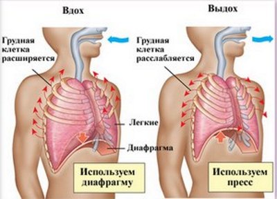 ยิมนาสติก - มันคืออะไรประเภท (การจำแนก) คุณสมบัติเทคนิคเป้าหมาย