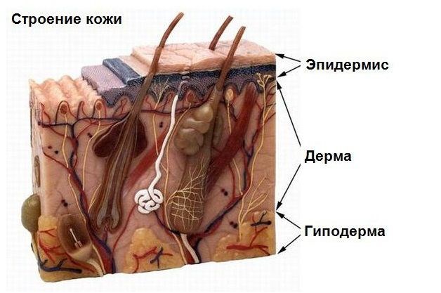 Гликолни пилинг - шта је то, користи за лице, како то учинити код куће, фотографије, прегледи
