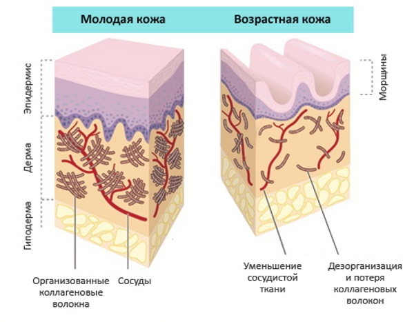 Креме за лице у апотекама