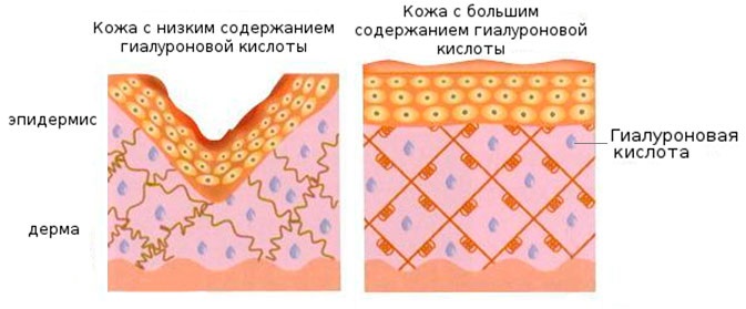 Креме за лице у апотекама