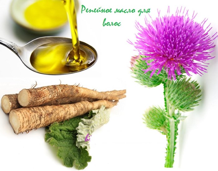 Dầu ngưu bàng cho tóc. Cách sử dụng, phương pháp áp dụng, hình ảnh, đánh giá