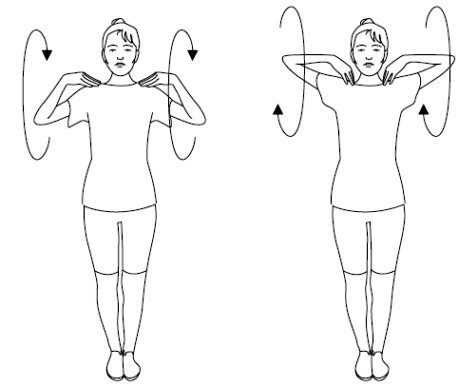 Latihan dengan dumbbells untuk wanita, gadis untuk punggung, lengan, otot dada, punggung, abs, di rumah untuk pemula