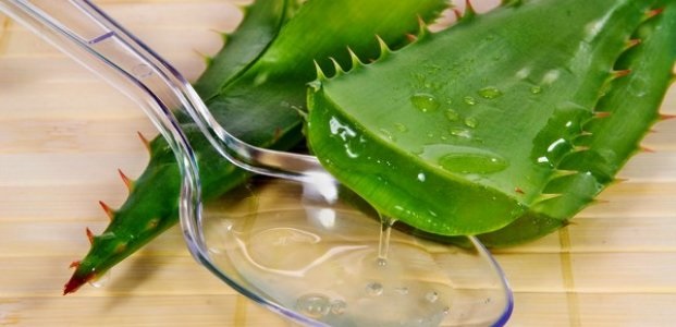 Mặt nạ tóc trị rụng tóc, tăng trưởng, mật độ. Công thức nấu ăn với sinh tố, đường, mù tạt, mật ong, dầu thầu dầu, rượu cognac
