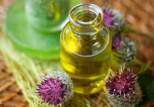 Маске против губитка косе код куће. Рецепти са сенфом, чичковим уљем, луком, црвеном паприком, витаминима, рицинусовим уљем, медом