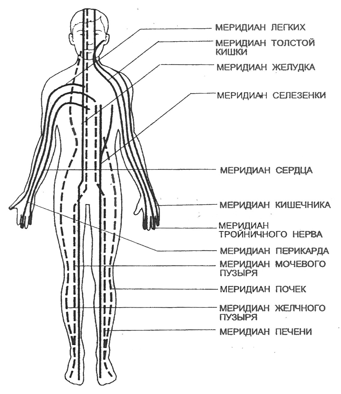 Gouache massage - là gì, kỹ thuật thực hiện, cách thực hiện cho mặt, lưng, ảnh trước và sau