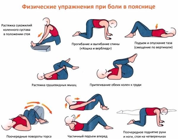 Bài tập lưng, tư thế phụ nữ, bị u xương, vẹo cột sống, thoát vị. Tập luyện có và không có tạ ở nhà
