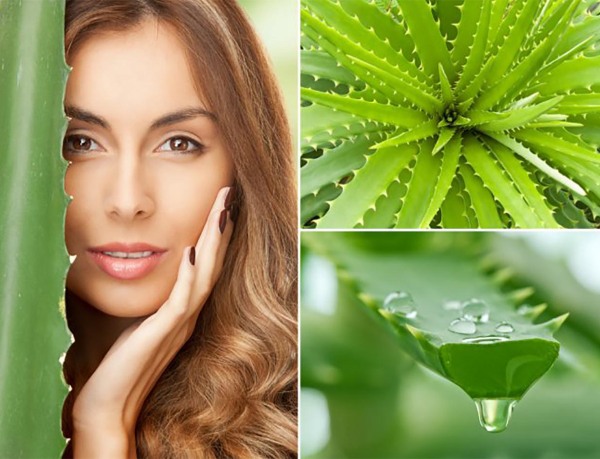 Mặt nạ dưỡng ẩm cho tóc khô. Công thức cho mái tóc khô và giòn