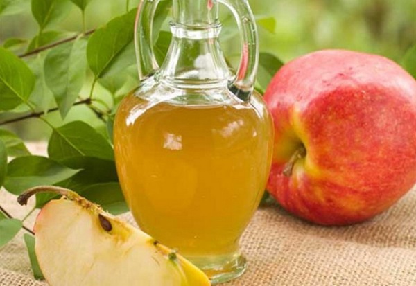 Mặt nạ dưỡng ẩm cho tóc khô. Công thức cho mái tóc khô và giòn