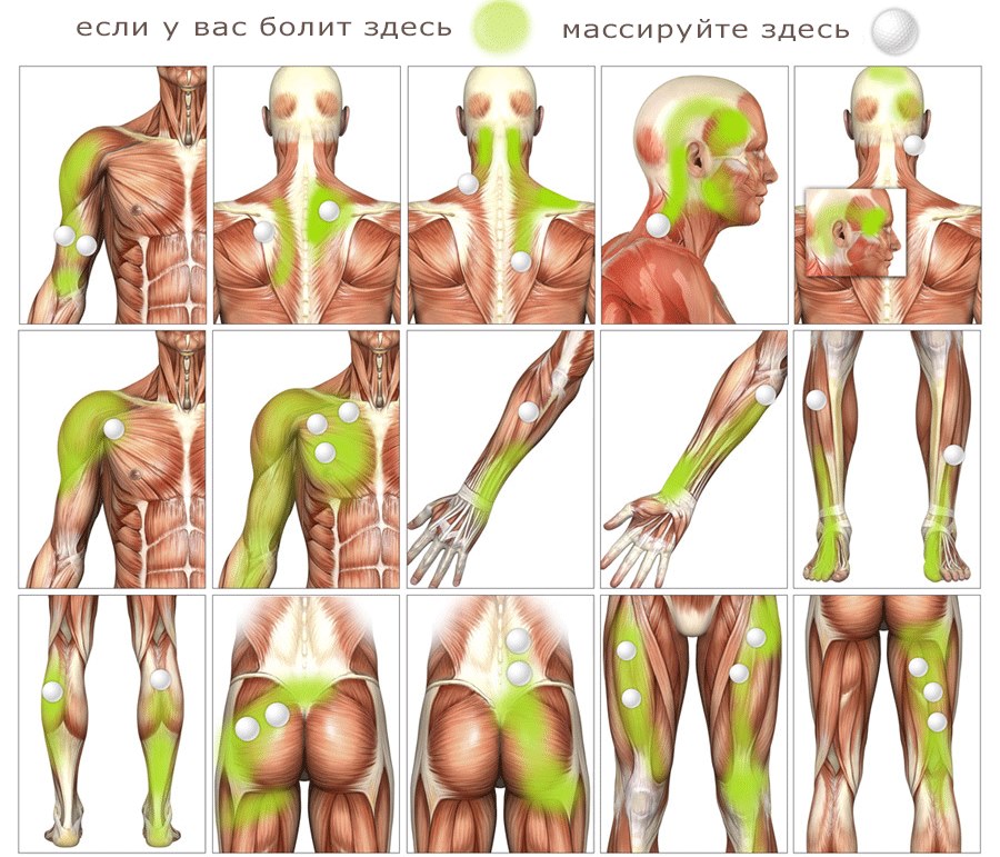 Urut Myofascial - apa itu, belajar mengurut wajah, badan, belakang. Foto, pelajaran video oleh Shubina