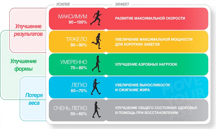 Bài tập Cardio đốt mỡ cho nữ tại nhà