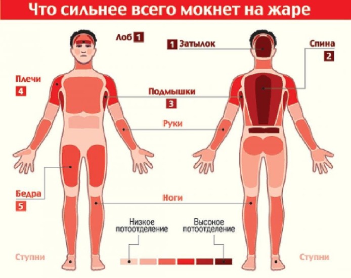 Nguyên nhân và cách điều trị chứng ra mồ hôi nách nhiều ở phụ nữ. Làm thế nào để loại bỏ mồ hôi bằng các biện pháp dân gian