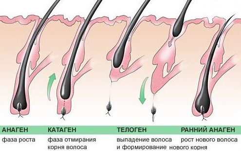 Ампуле за косу Еуцапил - састав, упутства за употребу, резултати употребе код жена и мушкараца. Цена, прегледи и где купити производ