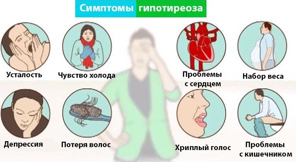 هرمون TSH - ما هو ، معدل هرمون الغدة الدرقية عند النساء ، علاج المستويات المنخفضة والمرتفعة