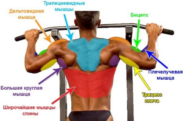 Cách học kéo xà ngang từ đầu tại nhà