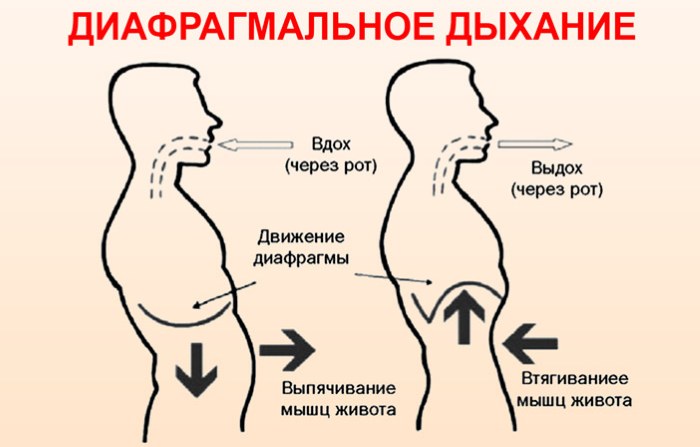 Како уклонити стомак и бокове у кратком времену. Ефикасне мере за жене код куће