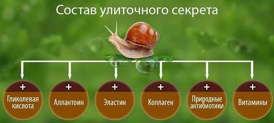 Пуж муцин у козметологији. Корисна својства, како користити афричку слуз Ацхатина код куће, фотографије, прегледи