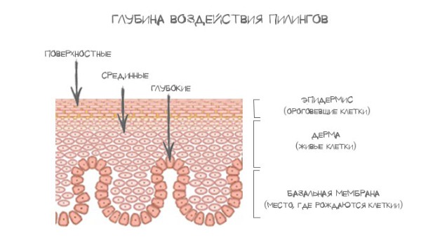 Пилинг лица код куће за боре, подмлађивање коже. Рецепти, упутства за употребу, фотографије