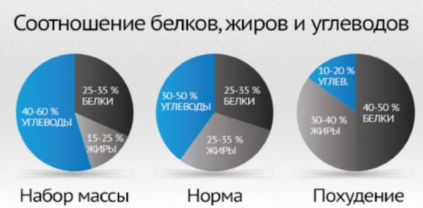 Програм тренинга у теретани за жене. Фитнес у теретани за почетнике, први тренинзи, вежбе