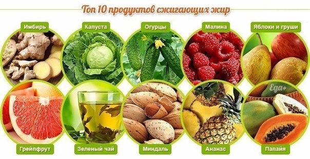Menu untuk mengeringkan badan untuk kanak-kanak perempuan, catuan makanan selama seminggu