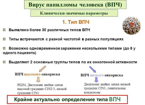HPV ในผู้หญิง - มันคืออะไรอาการประเภทการแพร่เชื้อการรักษา human papillomavirus ทางนรีเวชวิทยา