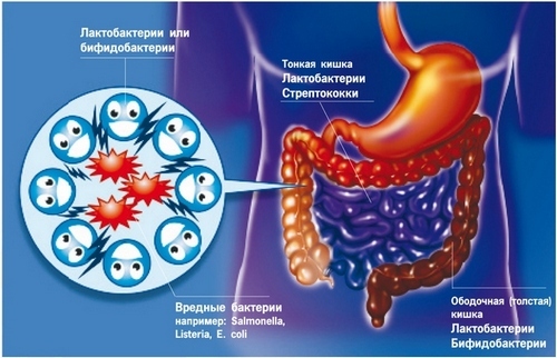Lactofiltrum cho mụn trứng cá: nhận xét của bác sĩ da liễu với hình ảnh trước và sau. Hướng dẫn sử dụng, chất tương tự, giá cả