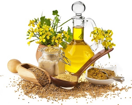Mặt nạ mọc tóc với mù tạt. Công thức nấu ăn với đường, mật ong, dầu ngưu bàng