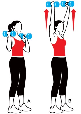 Các bài tập để tăng cơ cho bạn gái: sức mạnh, tập tim mạch, khởi động