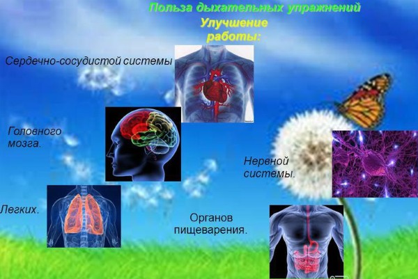 Дисање за мршављење стомака и бокова. Вежбе дисања Бодифлек, вакуум за жене и мушкарце Марина Корпан, Стрелникова, Бутеико