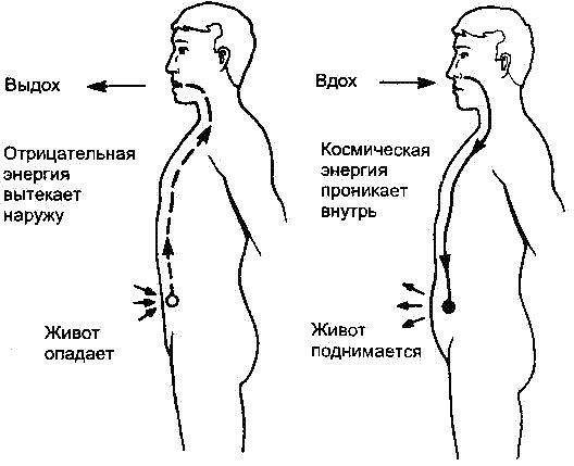 Дисање за мршављење стомака и бокова. Вежбе дисања Бодифлек, вакуум за жене и мушкарце Марина Корпан, Стрелникова, Бутеико