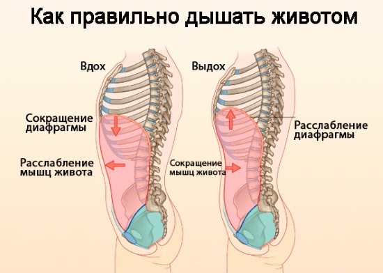 Дисање за мршављење стомака и бокова. Вежбе дисања Бодифлек, вакуум за жене и мушкарце Марина Корпан, Стрелникова, Бутеико