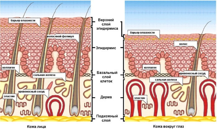 Ferul peel - nó là gì, nó được thực hiện như thế nào, axit, quy trình của quy trình Medderma, đánh giá, ảnh và kết quả