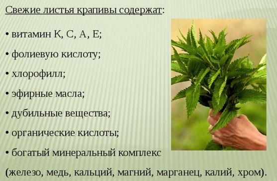 بشرة مثالية للوجه بعد 30 عامًا في أسبوع: الأدوية العشبية والكريمات والمواد الهلامية والمقشرات والأقنعة والعناية المنزلية