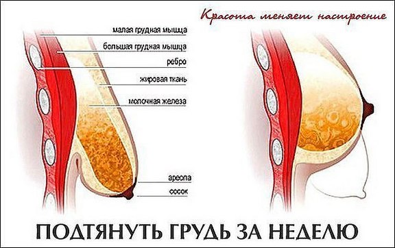 كيفية ضخ عضلات الصدر في المنزل لفتاة مع الدمبل ، والضغط ، على الشريط الأفقي. برنامج تدريبي لمدة أسبوع ، شهر