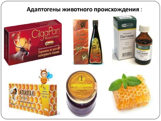 Cách tăng sức bền, sức bền, tốc độ chạy, bơi, đấu vật, sức bền, cơ bắp và phát triển nhịp thở: phương tiện và phương pháp rèn luyện cơ thể