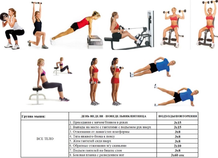 Cách lên chương trình tập gym giảm cân, tăng cân cho nữ, cho tất cả các nhóm cơ cho người mới bắt đầu tập tại nhà và tập gym