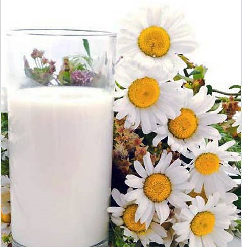 Máscaras Kefir. Receitas e regras de aplicação para acne, rugas, para pele oleosa