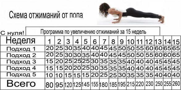 Push-up dal pavimento. Programma di allenamento per principianti, benefici, tecnica di esercizio per il peso, addominali, per i muscoli pettorali