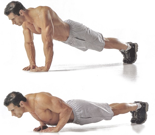 Push-up dal pavimento. Programma di allenamento per principianti, benefici, tecnica di esercizio per il peso, addominali, per i muscoli pettorali