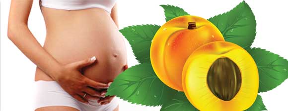 Dầu đào. Thuộc tính và ứng dụng trong thẩm mỹ, y học và nấu ăn. Đơn thuốc bôi ngoài da mặt và toàn thân, móng tay, tóc trong điều trị bệnh