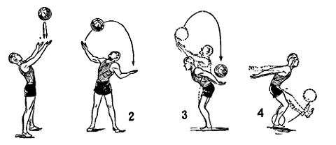 Bài tập tư thế lưng trong phòng gym, tại nhà cho các bạn nữ, các bạn nữ, tuổi teen. Cách thực hiện, hình ảnh và video