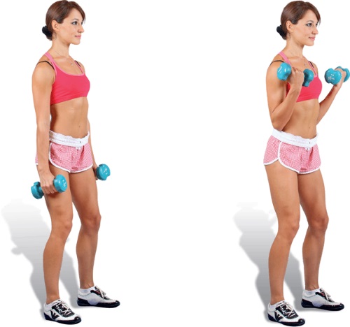 Latihan untuk melangsingkan lengan dan bahu untuk wanita dengan dan tanpa dumbbell, dengan foto dan video