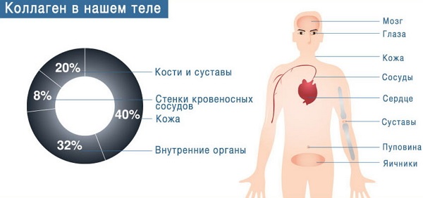 Који производи садрже колаген за кожу, зглобове, јачајући тело. Табела употребе и производа