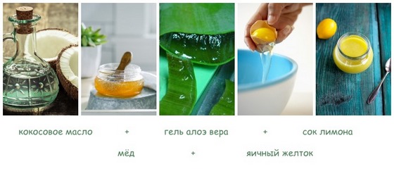 Tóc dầu ở chân tóc và dọc theo toàn bộ chiều dài, khô ở ngọn tóc và rụng. Nguyên nhân và điều trị: dầu gội, mặt nạ, dầu, dầu dưỡng