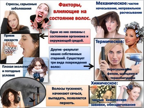 Tóc dầu ở chân tóc và dọc theo toàn bộ chiều dài, khô ở ngọn tóc và rụng. Nguyên nhân và điều trị: dầu gội, mặt nạ, dầu, dầu dưỡng
