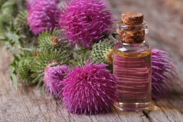 Dưỡng tóc: nhuộm màu chuyên nghiệp, dưỡng tóc, dầu xả, phục hồi, giữ nếp. Đánh giá tốt nhất