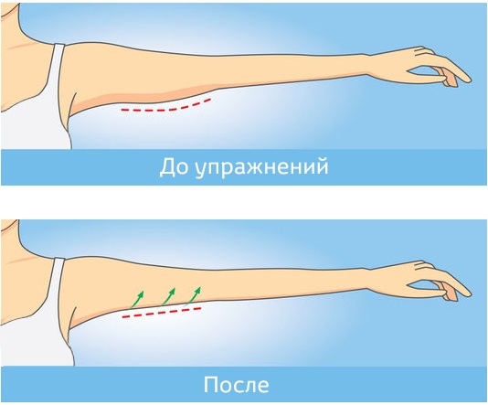 Burpee là một kỹ thuật thực hiện, nó là gì, làm như thế nào cho đúng. Các bài tập cho cô gái mới bắt đầu: làm khô và giảm cân điên cuồng