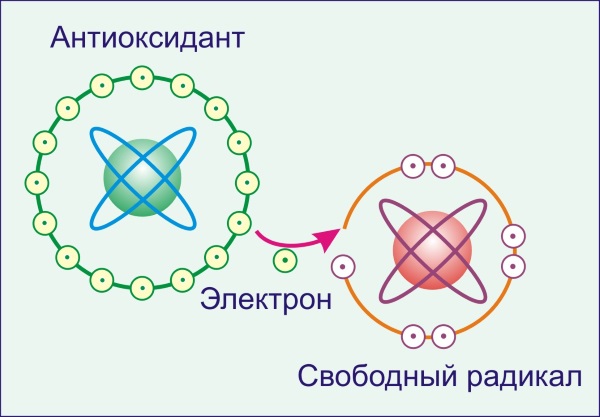 Sản phẩm chăm sóc da mặt: mỹ phẩm, hiệu thuốc chuyên nghiệp, rẻ tiền, công thức dân gian