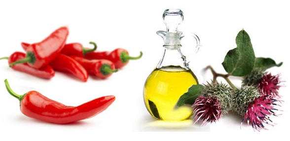 Маска за раст косе са црвеним бибером. Рецепт како га користити код куће, са циметом, чичковим уљем