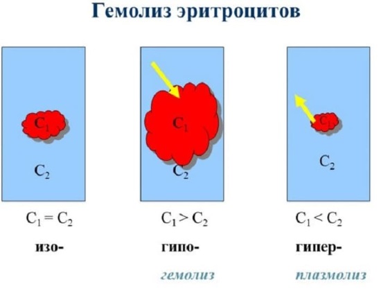 Интравенска терапија озоном. Прегледи лекара, индикације и контраиндикације, користи и штете, ток лечења, да ли је могуће спровести током трудноће